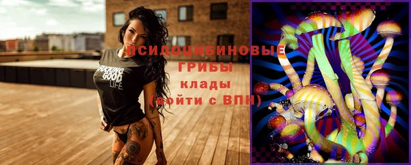 шишки Абдулино