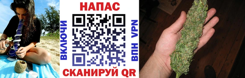 Каннабис конопля купить наркоту Питкяранта